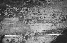 NMSA 03 184P