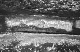 NMSA 03 1247P