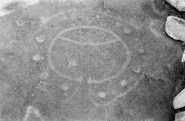 NMSA 03 7919P