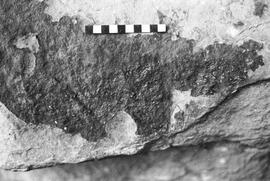 NMSA 03 4622P