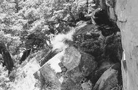 NMSA 03 1306P