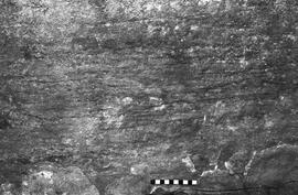 NMSA 03 6337P