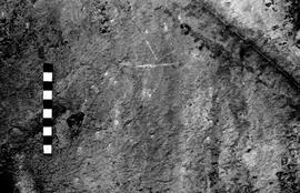 NMSA 03 4202P