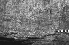 NMSA 03 7411P