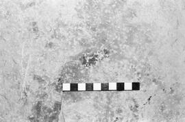 NMSA 03 1929P