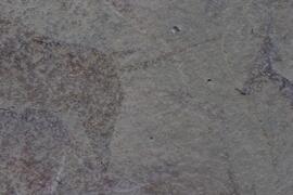 NMSA RSA GEO2 11D