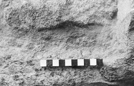NMSA 03 1657P