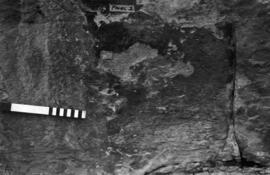 NMSA 03 9062P