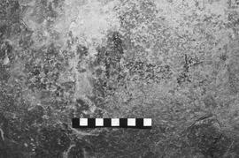 NMSA 03 3087P