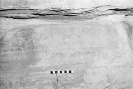 NMSA 03 8873P