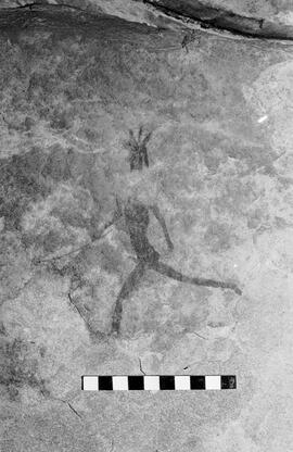 NMSA 03 6136P