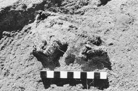 NMSA 03 648P