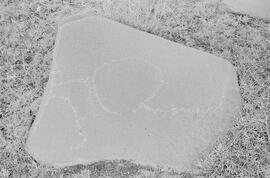 NMSA 03 8158P