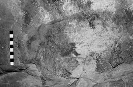 NMSA 03 4822P