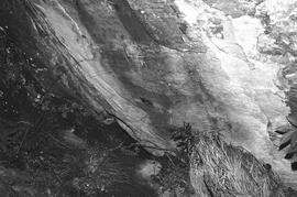 NMSA 03 4512P