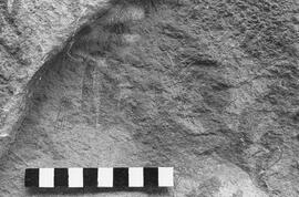 NMSA 03 1014P