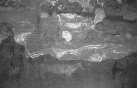 NMSA 03 987P