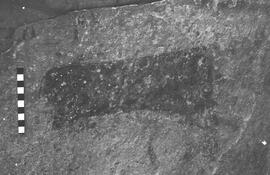 NMSA 03 2465P