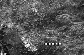 NMSA 03 4009P