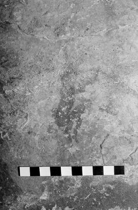 NMSA 03 5287P