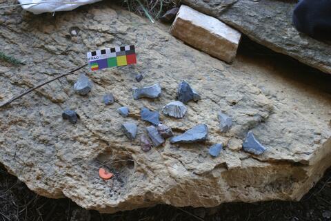 Open original Digital object