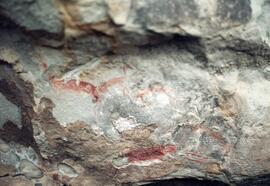 NMSA 02 101P