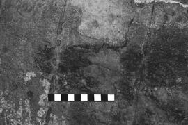NMSA 03 2460P