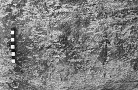 NMSA 03 7122N