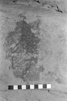 NMSA 03 1551P