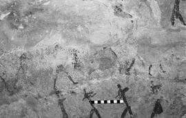 NMSA 03 5362P