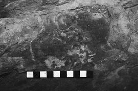 NMSA 03 3239P