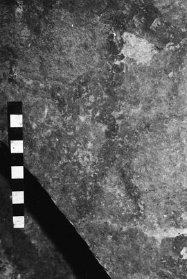 NMSA 03 4187P