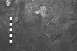 NMSA 03 2543P