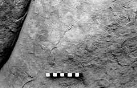 NMSA 03 3769P