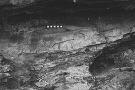 NMSA 03 7313P