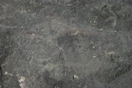 NMSA RSA GEO3 11D