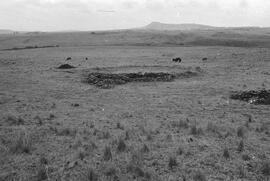 NMSA 03 677P