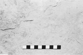 NMSA 03 1978P