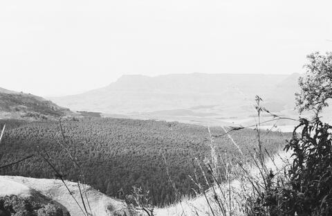 Open original Digitaal object