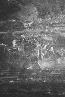 NMSA 03 7408P