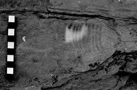 NMSA 03 3453P