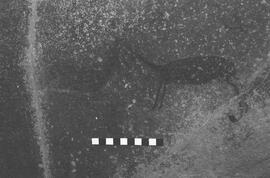 NMSA 03 2487P