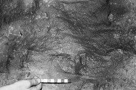 NMSA 03 406P