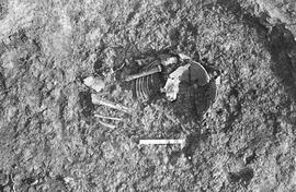 NMSA 03 697P