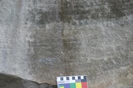 NMSA RSA MPO1 41D