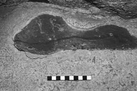 NMSA 03 5783P