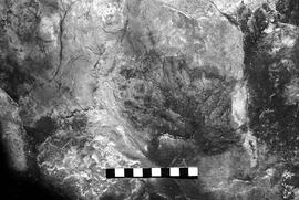 NMSA 03 3917P