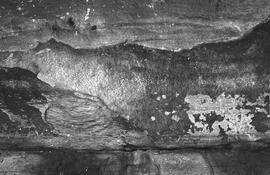 NMSA 03 188P