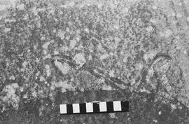 NMSA 03 1403P