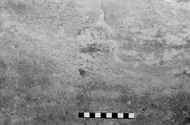 NMSA 03 5272P